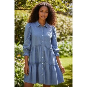 Mi Ami 100% Cotton Blue Button Front Long Sleeve Midi Dress Francesca's Sz Med